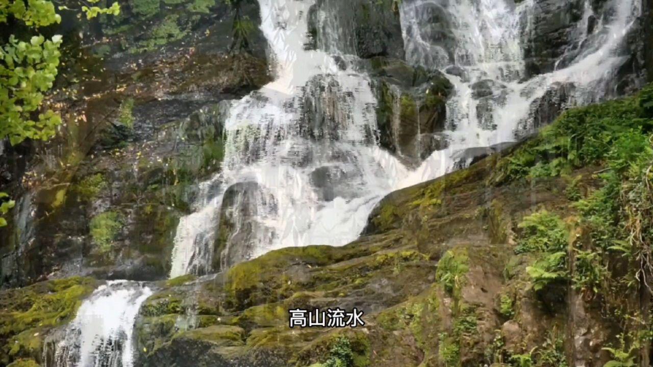 逗小猴开心系列176